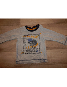 Jungen Langarmshirt Pebble Stone Gr.74