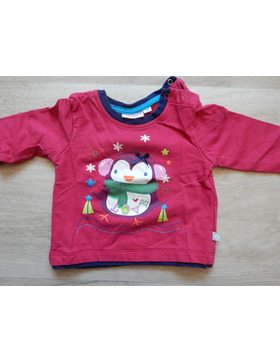 Mädchen Sweatshirt Pullover Liegelind Gr.74