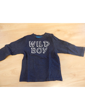 Jungen Langarmshirt Topomini Gr.80