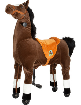 small foot Reitpferd Blitz