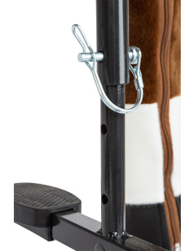 small foot Reitpferd Blitz