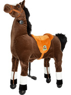 small foot Reitpferd Blitz