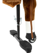 small foot Reitpferd Blitz